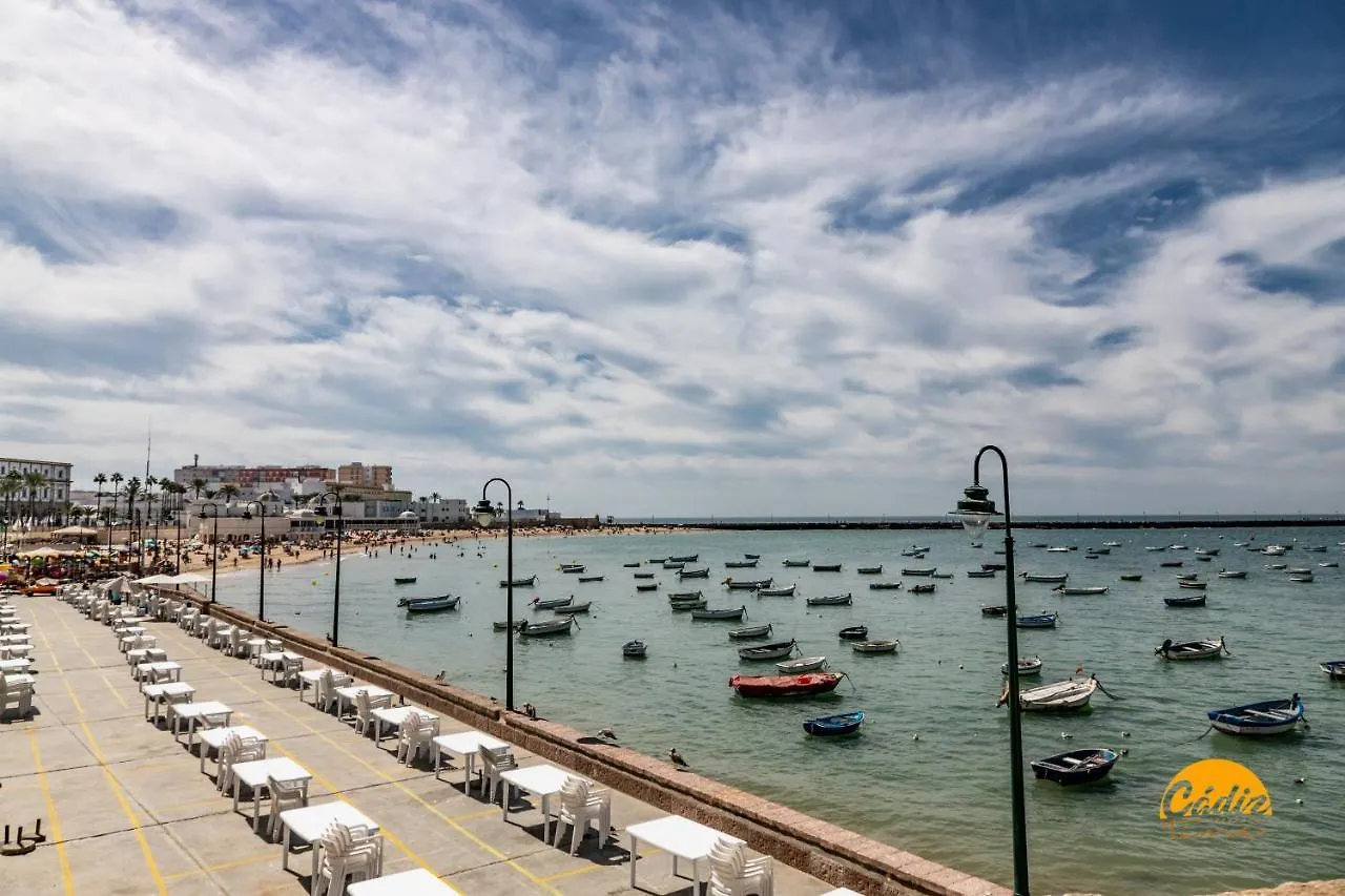 Tailor'S Home By Cadiz Time 0*,  Hiszpania